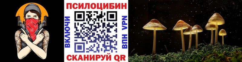 Псилоцибиновые грибы Magic Shrooms  omg рабочий сайт  Дубовка  что такое наркотик 